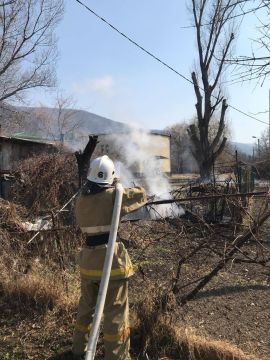 В поселке Ленингор в результате поджога сухой травы сгорел сарай