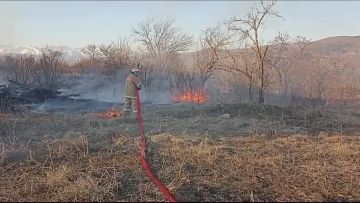 Еще одно возгорание сухостоя сегодня ликвидировано на северной окраине Цхинвала