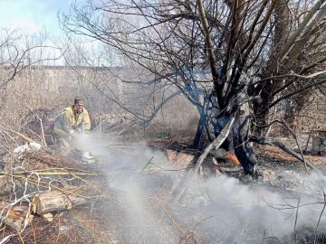 Пожарные Южной Осетии ликвидировали четыре возгорания сухостоя за сутки