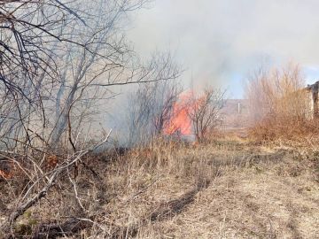 Возгорание сухостоя ликвидировано на улице Черепичной в Цхинвале — МЧС