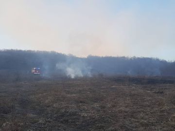 Пожарные МЧС Южной Осетии ликвидировали возгорание сухостоя в с. Ход Цхинвальского района