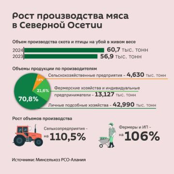 Рост производства мяса в Северной Осетии