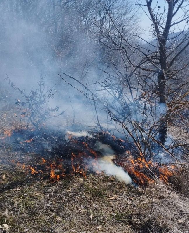 В Цхинвальском и Знаурском районе Южной Осетии произошло возгорание сухостоя