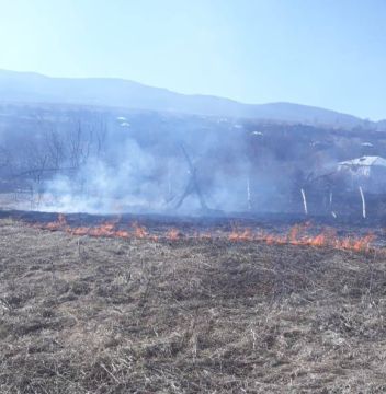 В селе Дменис Цхинвальского района горит сухостой