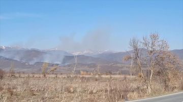 Еще одно возгорание сухостоя тушат в районе села Дменис