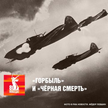 Советский Ил-2, любимый пехотой за поддержку с воздуха, стал "Горбылём" за характерный корпус