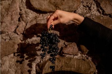 Южная Осетия должна делать ставку на развитие этнотуризма и винных туров – Битиев