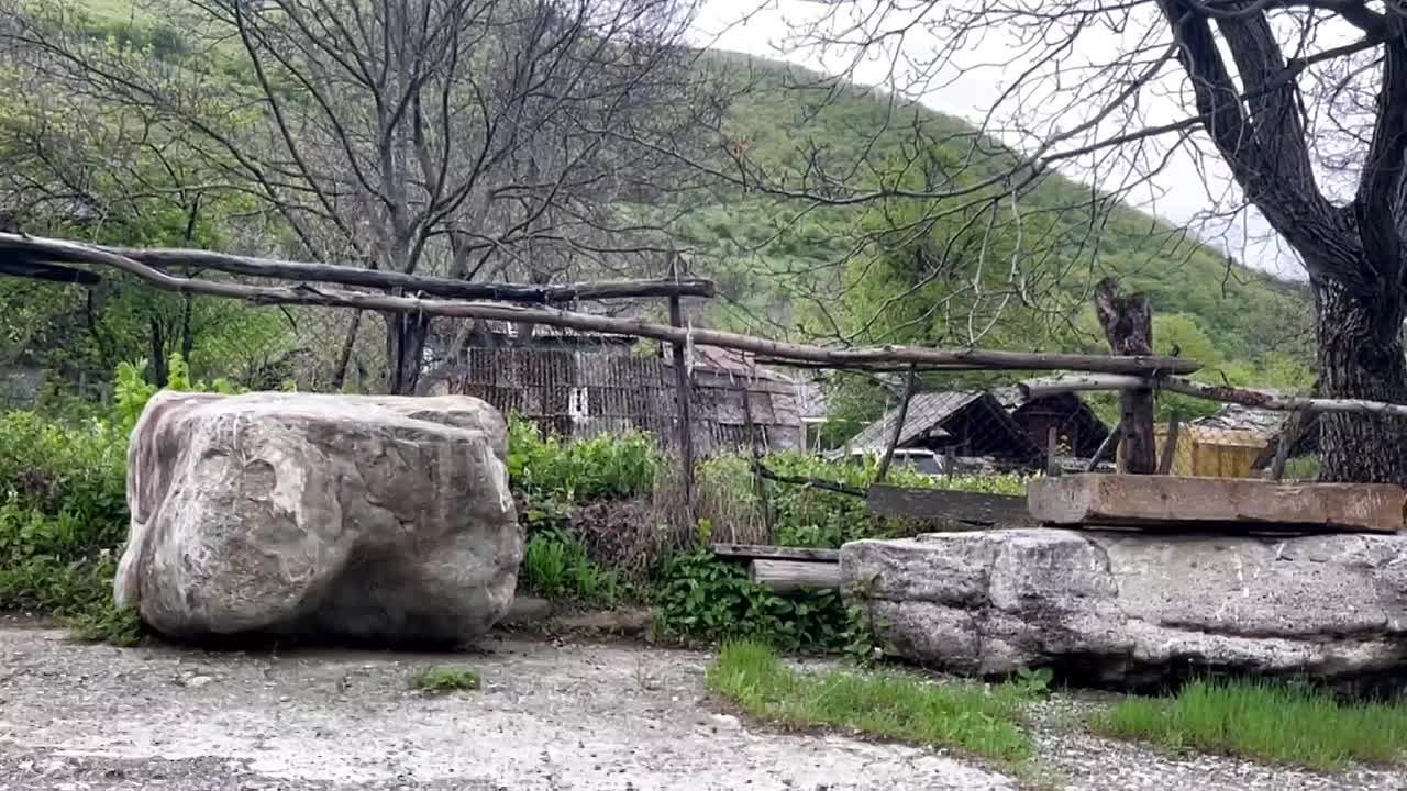 Доброе утро, дорогие подписчики!