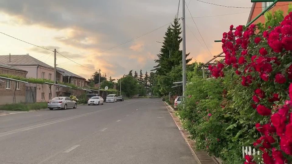 Доброе утро, дорогие подписчики!