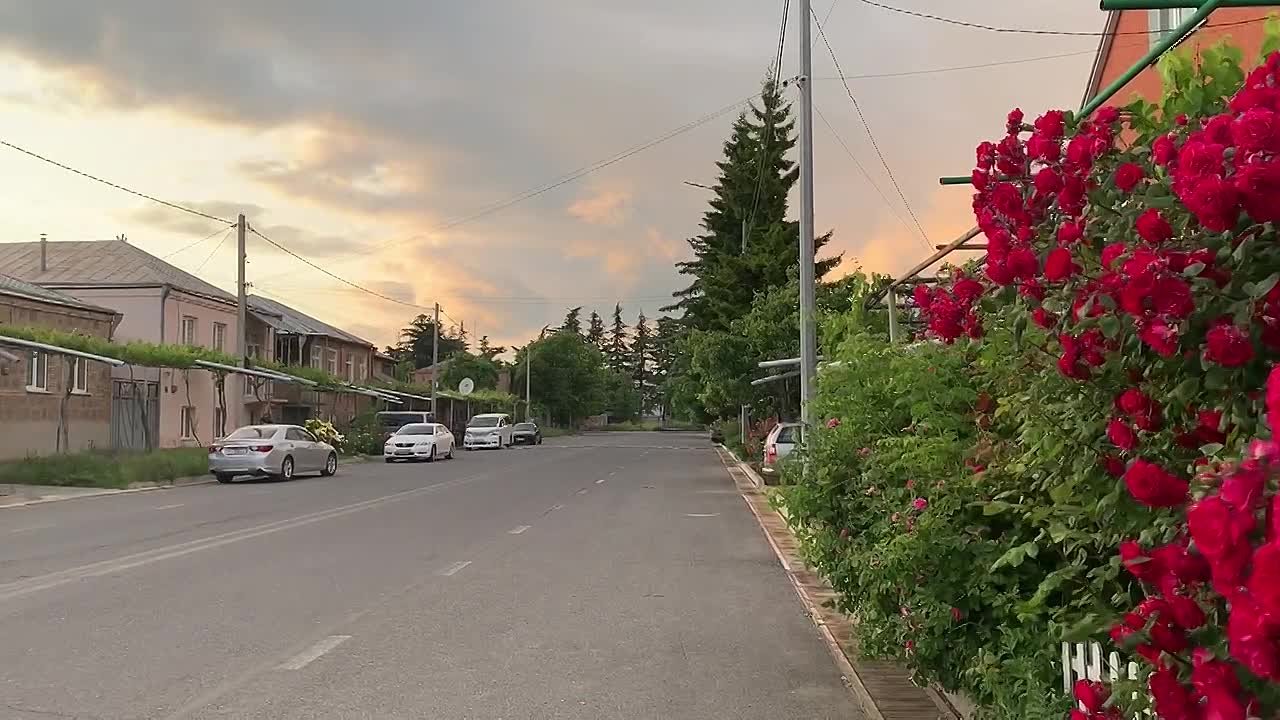 Доброе утро, дорогие подписчики!