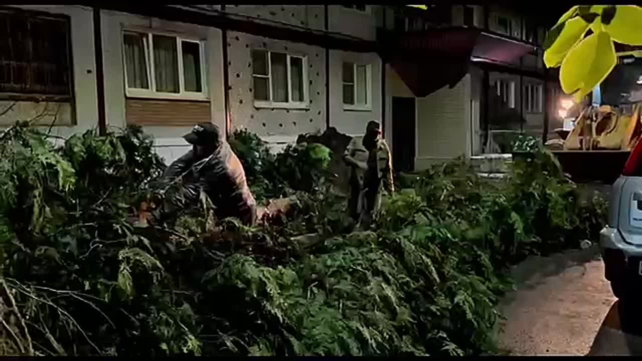Владикавказские коммунальщики всю ночь устраняли последствия вчерашних урагана и грозы