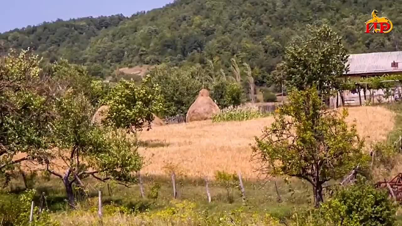 ГТРК «Ир» запускает цикл сюжетов, посвященных геноциду осетинского народа в 1920 году