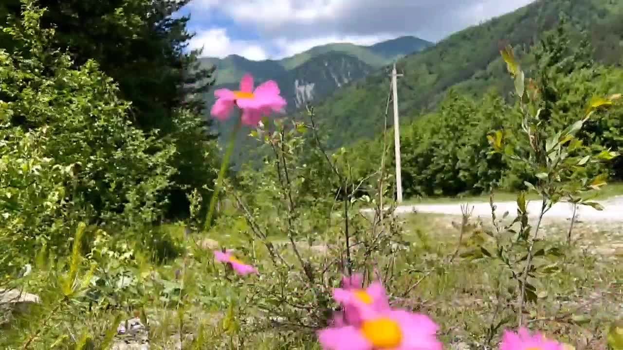 Доброе утро, дорогие подписчики!