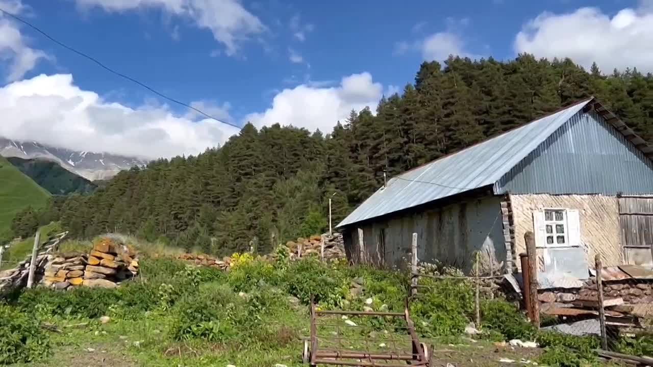 Доброе утро, дорогие подписчики!