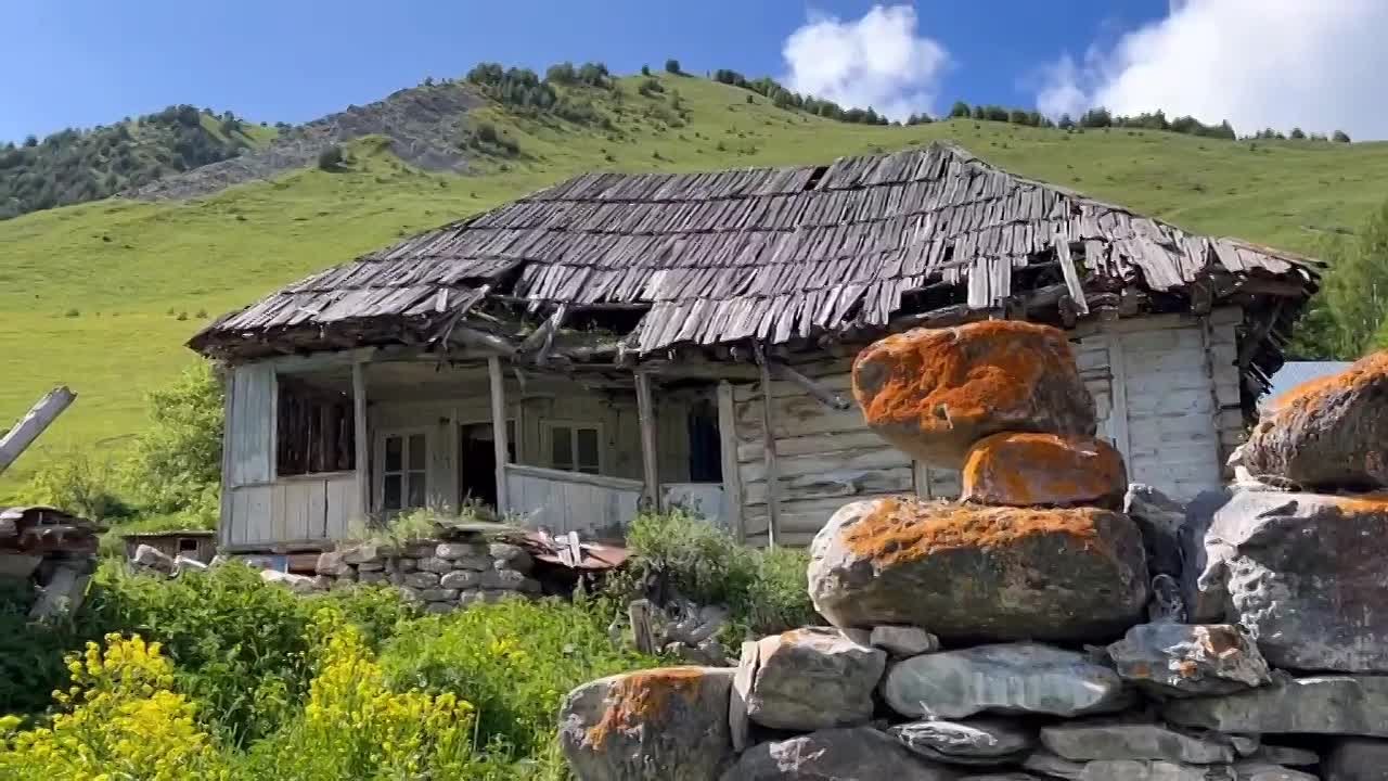 Доброе утро, дорогие подписчики!