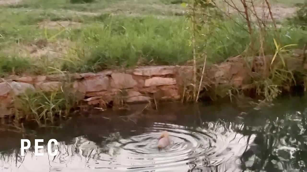 Доброе воскресное утро, всем!