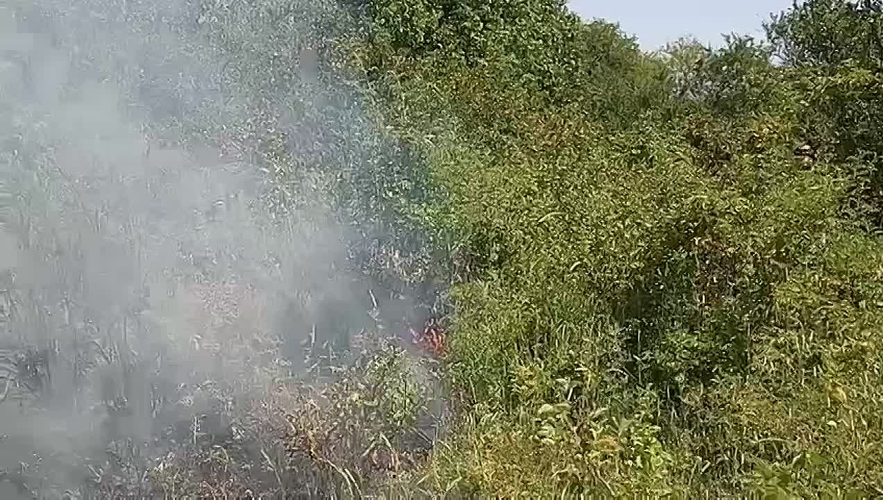 Огнеборцы 1-й МЧС Южной Осетии ликвидировали возгорание сухостоя и деревьев на северной окраине Цхинвала