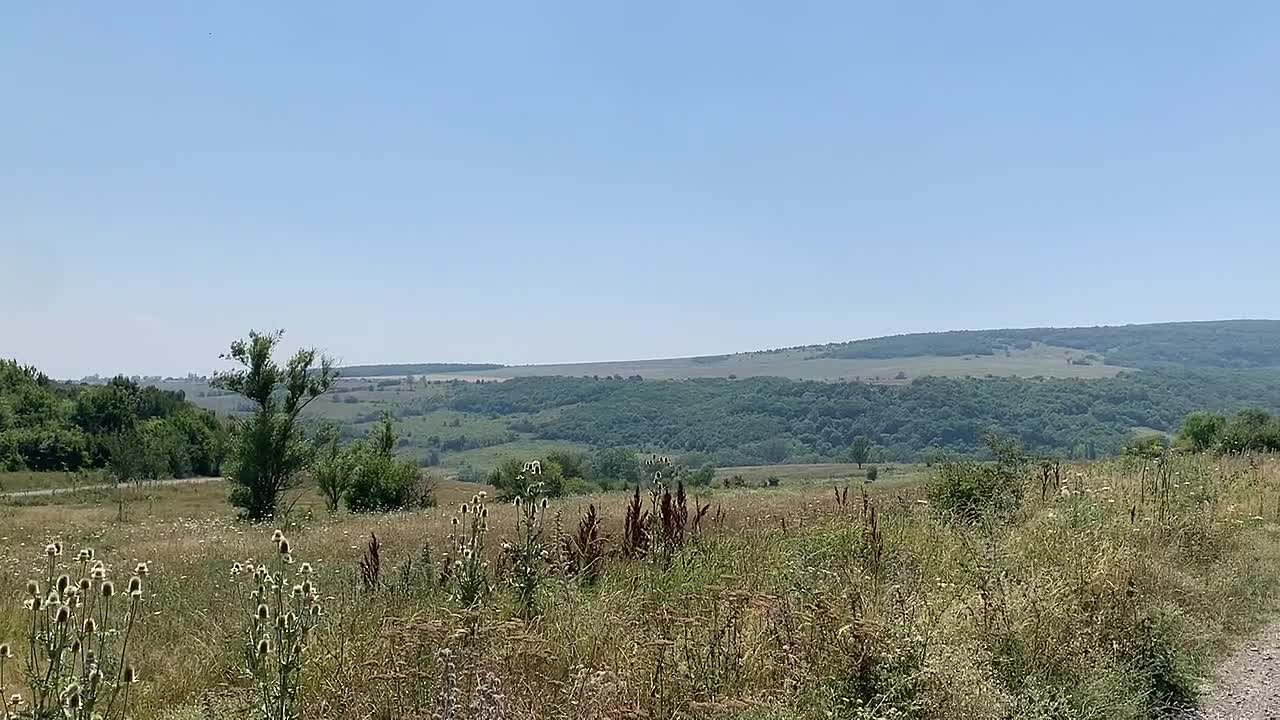 Доброе утро, Осетия!. 30 июля, среда