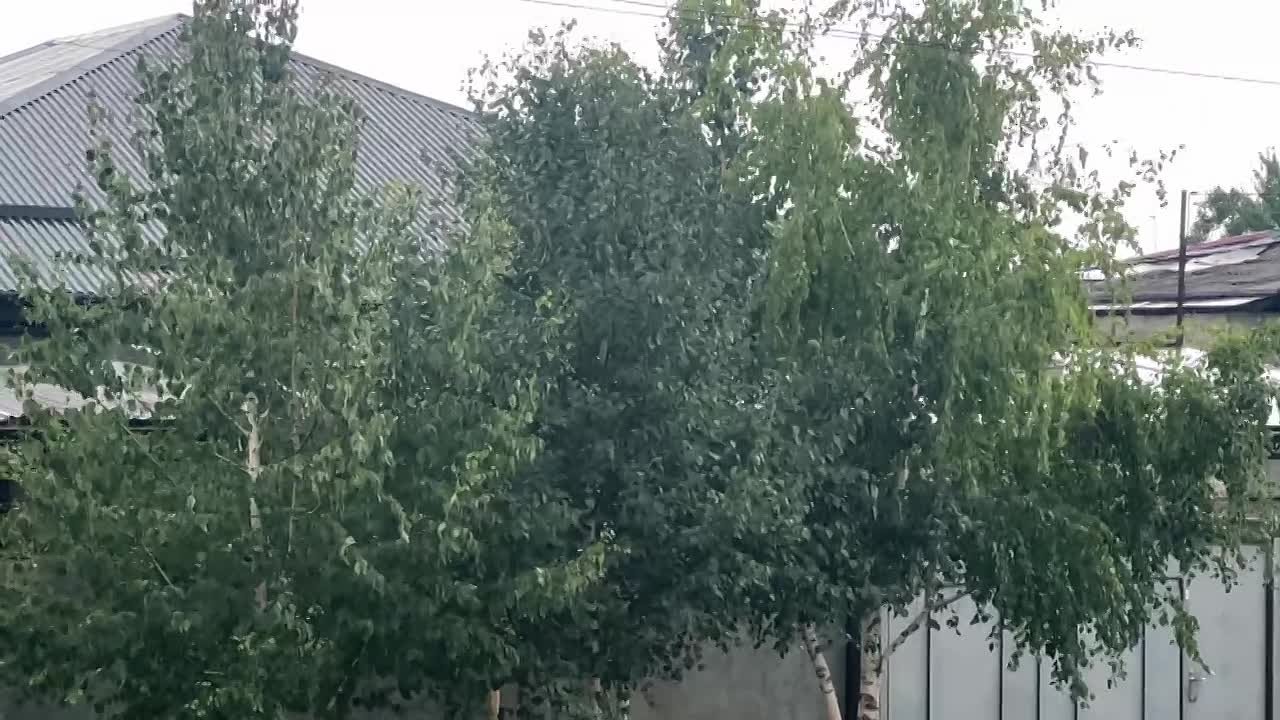 Долгожданные капли дождя после жары