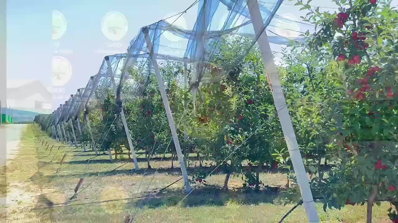 В селе Хетагурово открыли участок дороги длиной два километра, который соединил трассу Цхинвал - Знаур с территорией агропредприятия "Южный сад"