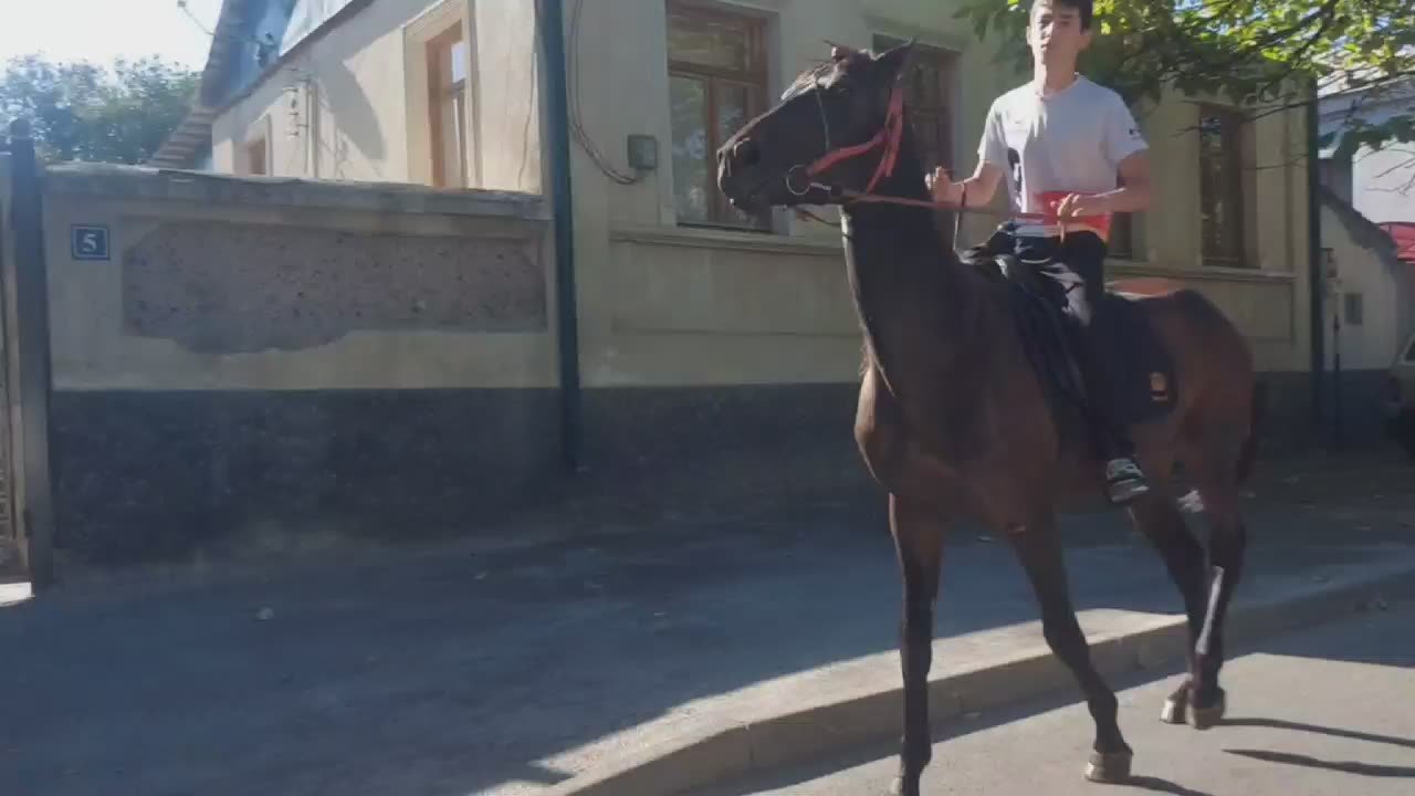 Доброе утро, Осетия!. Суббота, 16 августа, днем температура воздуха +24 °C, ночью — +13 °C. Хороших выходных вам! Следите за важными событиями в наших социальных сетях: Facebook