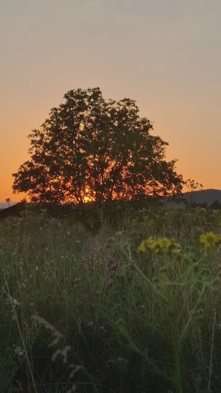 Доброе утро, Осетия!. Среда, 27 августа, днем температура воздуха +29 °C, ночью +17 °C. Хорошего дня вам! Следите за важными событиями в наших социальных сетях: Facebook