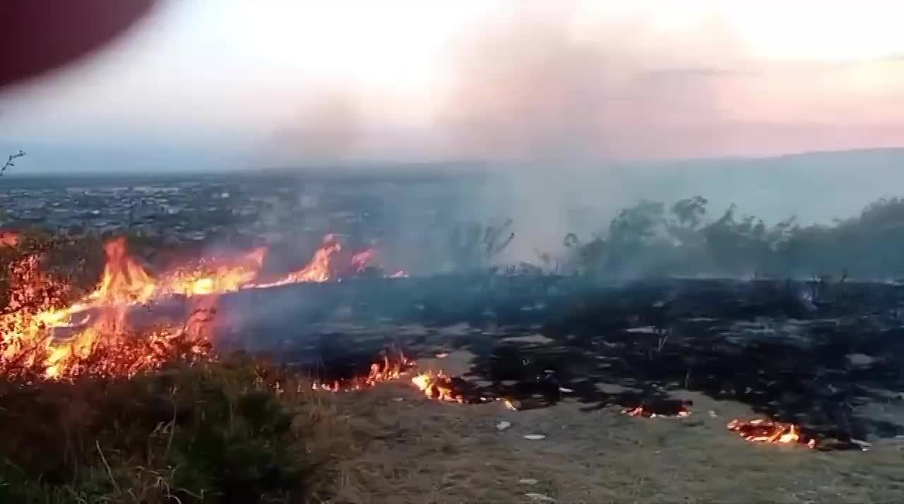 В районе села Прис Цхинвальского района произошел крупный ландшафтный пожар
