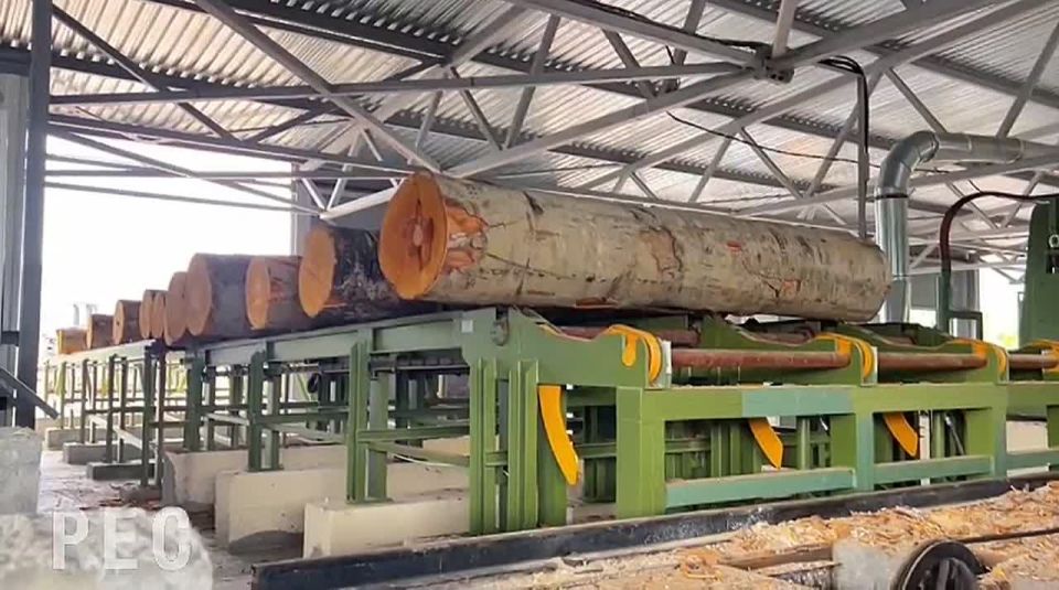 Продукция предприятия «Алания лес» вызвала интерес у нескольких крупных компаний - Владимир Босиков