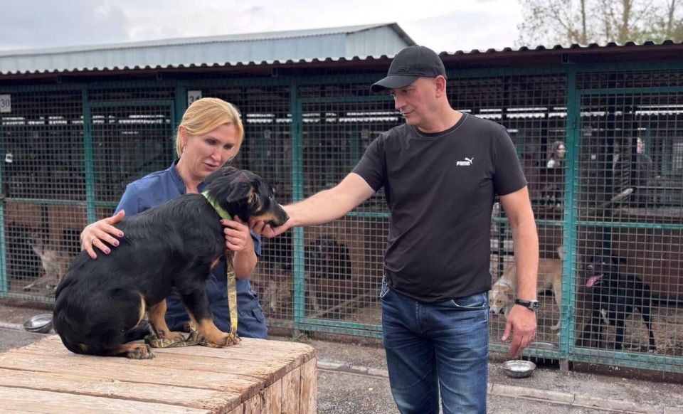 В Северной Осетии стартовала благотворительная акция "Возьми собаку из приюта"