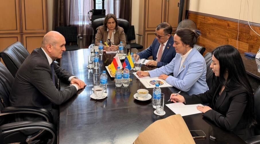 В Москве прошли межмидовские консультации Южной Осетии и Венесуэлы