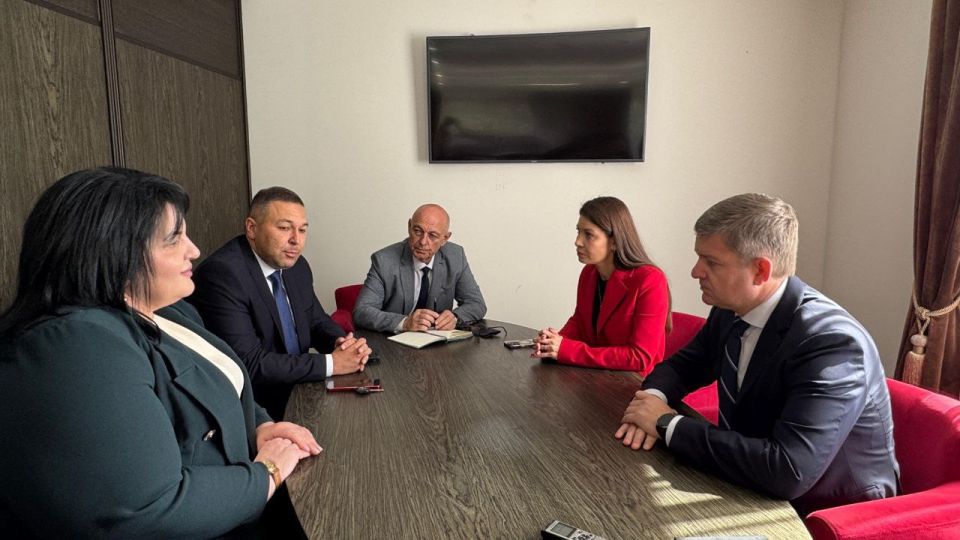 Рада Дзагоева и Роман Карманов обсудили развитие сотрудничества в культурной сфере между РЮО и РФ