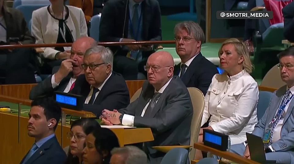 Россия не планирует нападений на страны НАТО, но любая агрессия получит решительный отпор, заявил Сергей Лавров, выступая на Генассамблее ООН