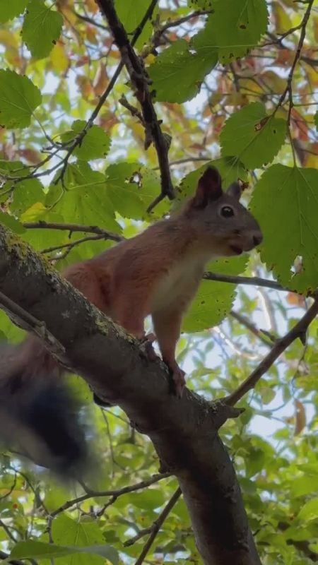 Доброе утро, дорогие подписчики!