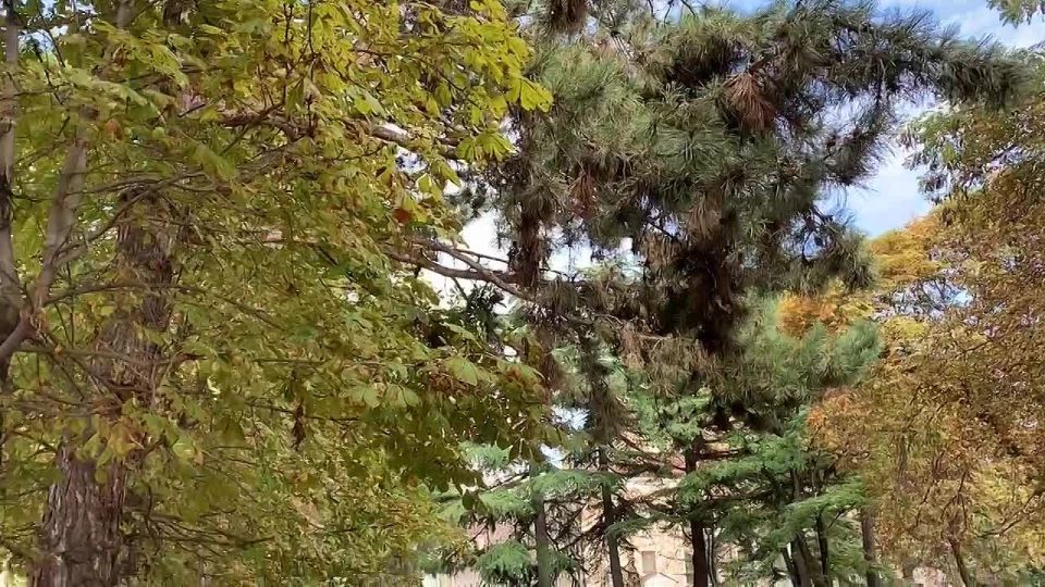 Доброе утро, дорогие подписчики!