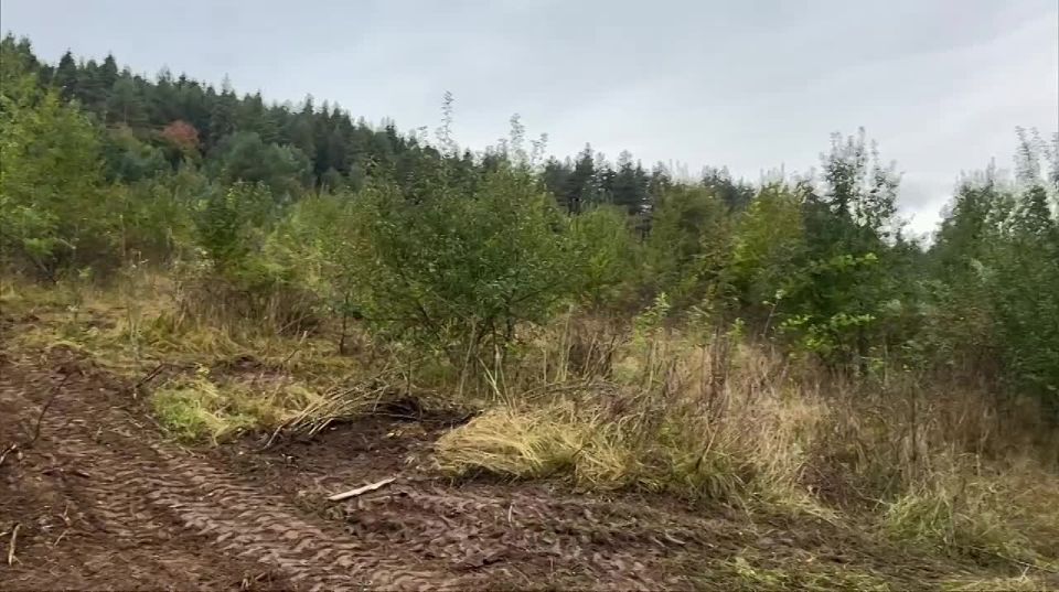 Президент Алан Гаглоев проинспектировал ход работ на первом ботаническом саду в Южной Осетии, который расположен в селе Кроз Дзауского района