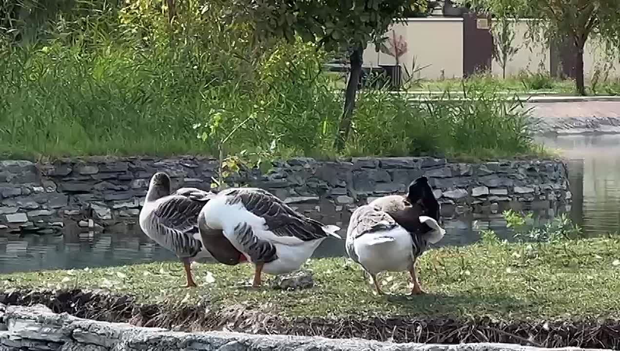 Доброе утро, дорогие подписчики!