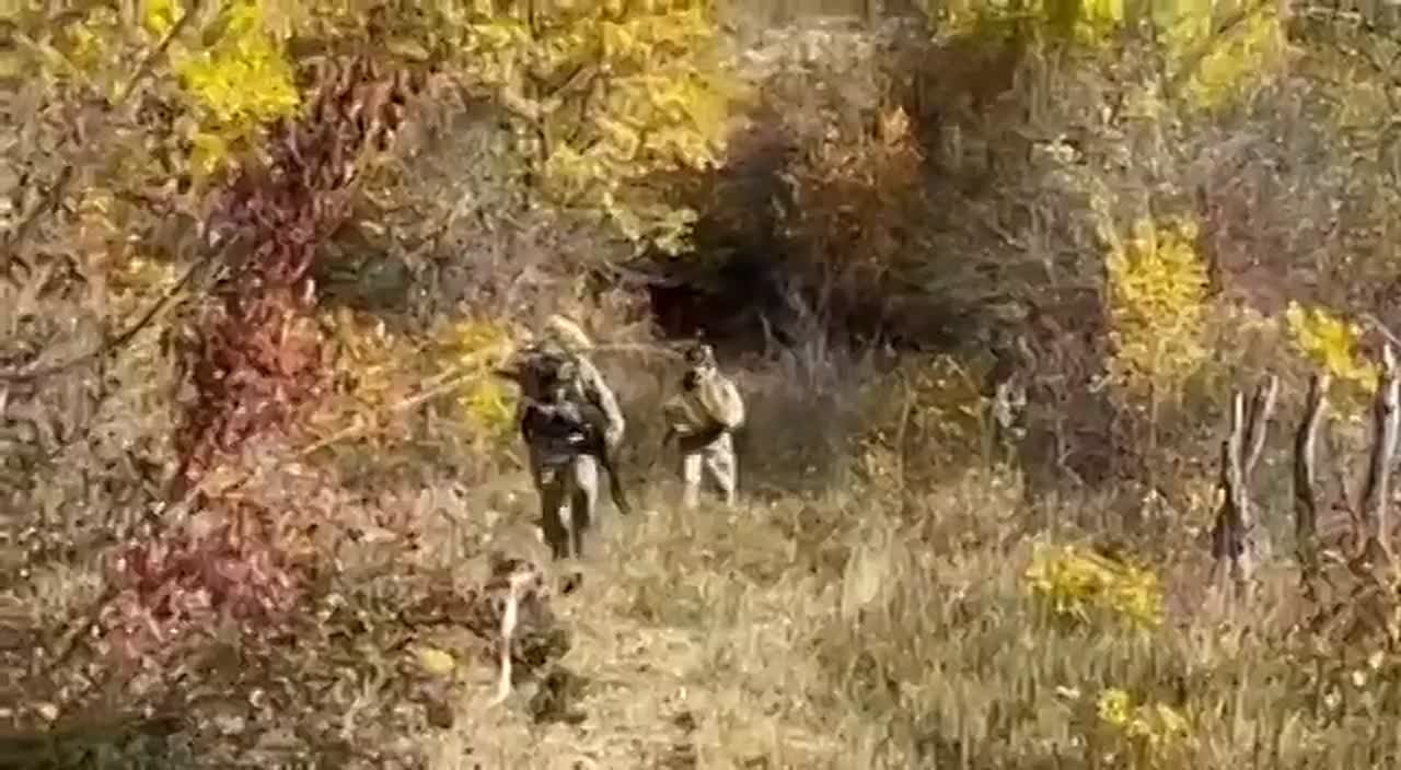 Сегодня в Южной Осетии стартовали соревнования по практической стрельбе, посвященные памяти бойцов из РЮО, павших в зоне проведения Специальной военной операции