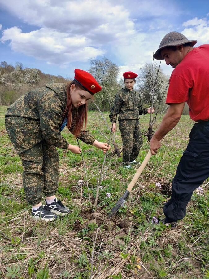 Свыше 7 тысяч деревьев высадили в Северной Осетии в рамках акции "Сохраним лес"