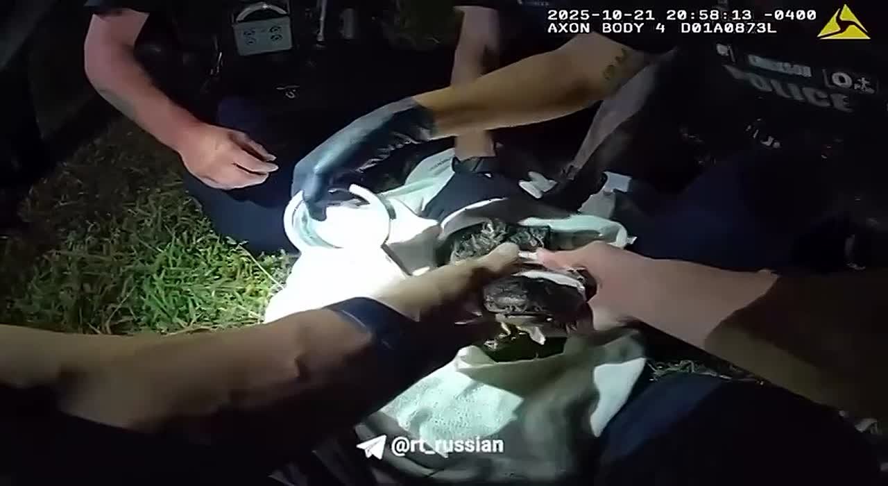 Ни один крокодил не пострадал: полицейские во Флориде голыми руками оттаскивали за хвост крокодила