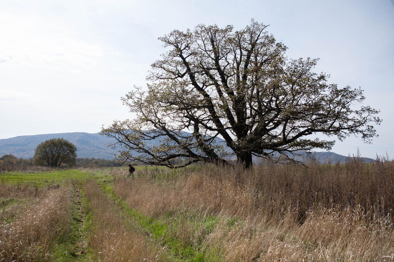 Все цвета осени Южной Осетии на фото Sputnik