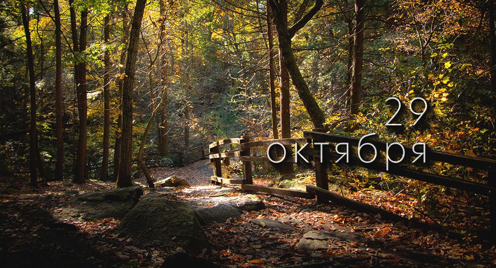 Какой сегодня праздник в России и мире — 29 октября