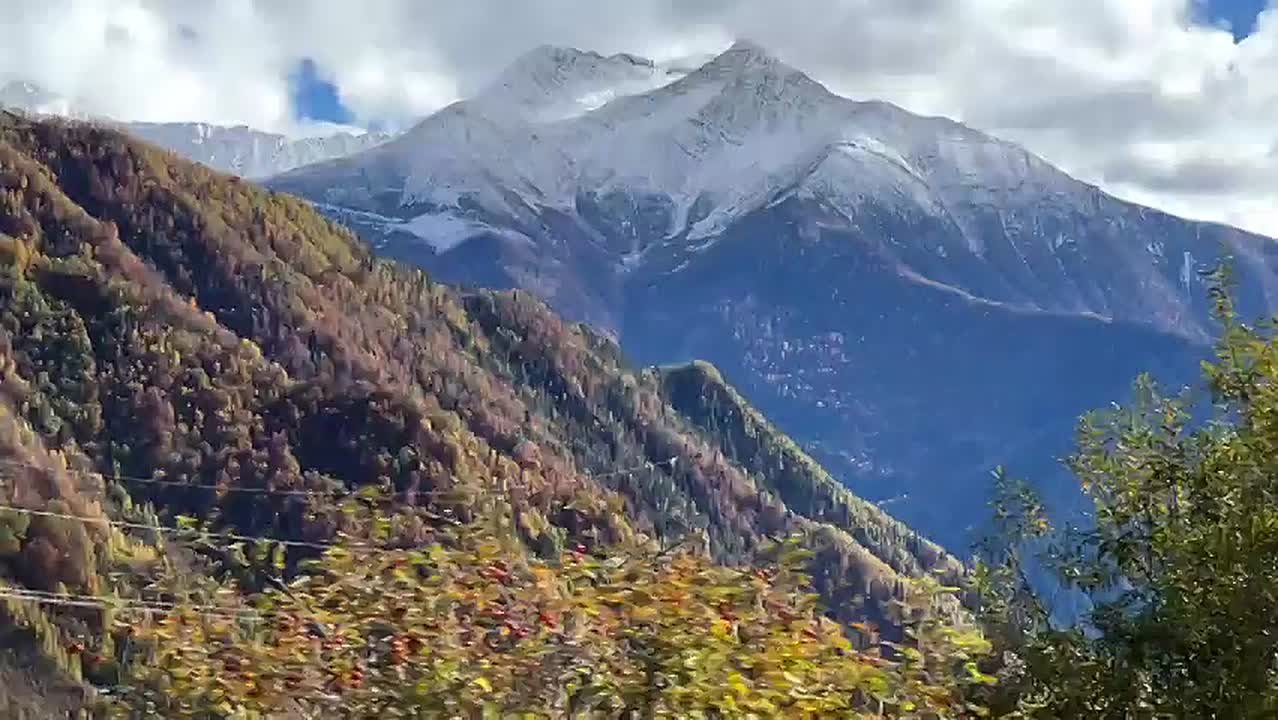Доброе утро, дорогие подписчики!