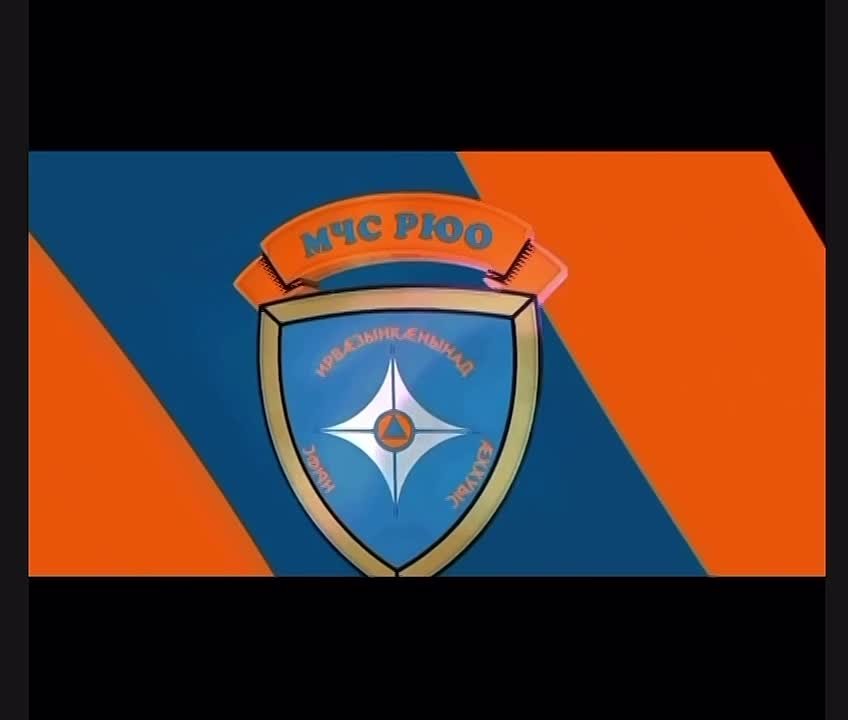 Накануне ночью в процессе ликвидации ландшафтного пожара в селе Эрцо Дзауского района сотрудники 4-й ПСЧ МЧС Южной Осетии нашли котенка среди сухостоя