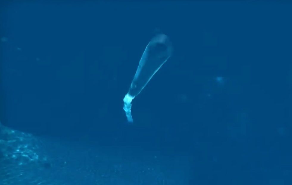 Русское оружие: "Посейдон" как гарантия светлого будущего