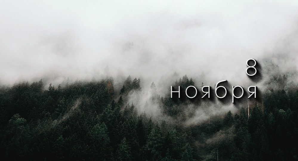 Какой сегодня праздник в России и мире — 8 ноября