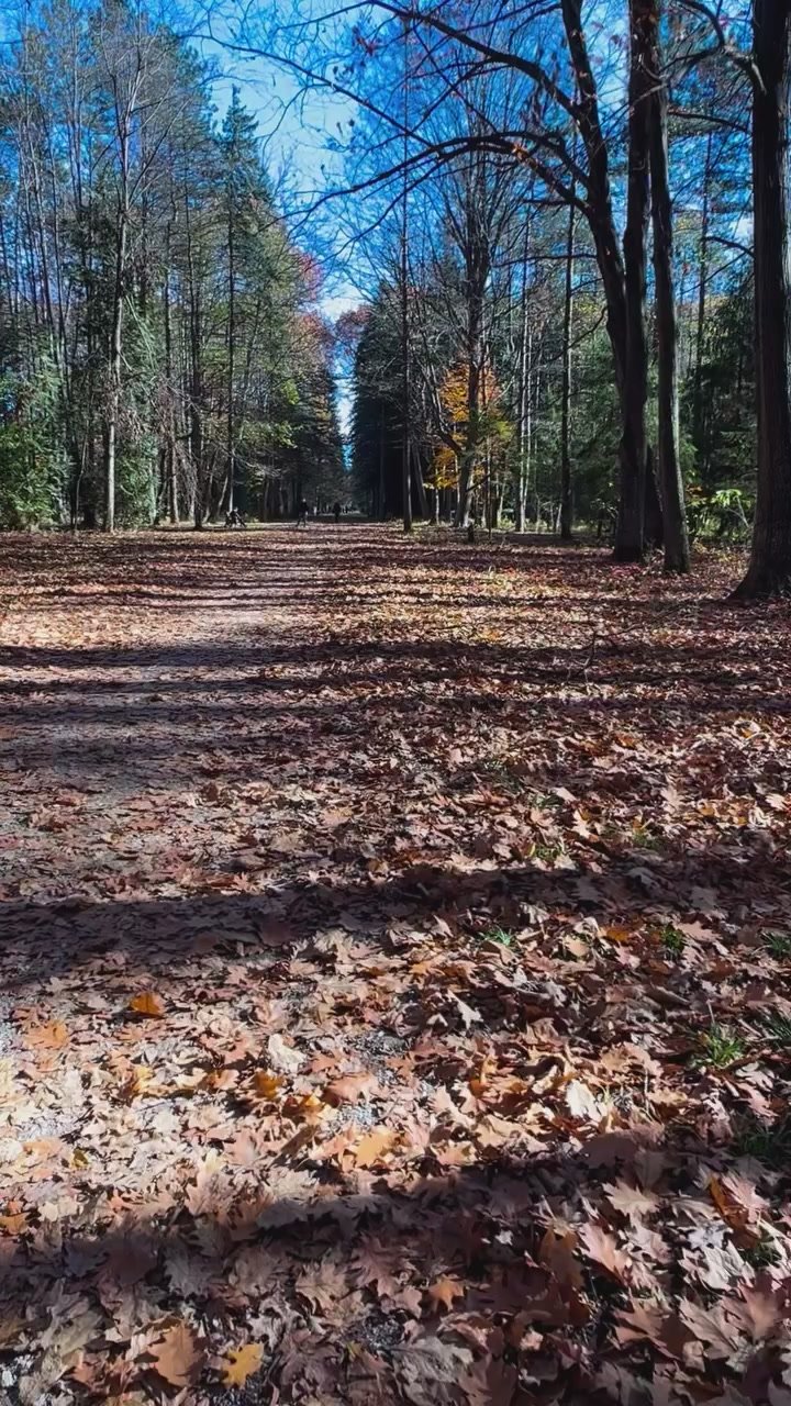 Доброе утро, дорогие подписчики!
