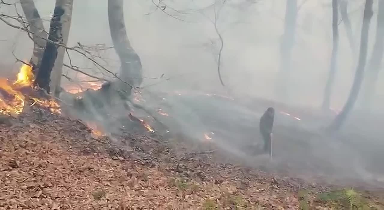 В селе Амзарет Ленингорского района произошло возгорание сухостоя