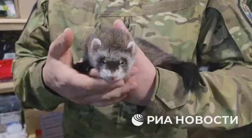 Форму ему еще не приобрели, но это все впереди