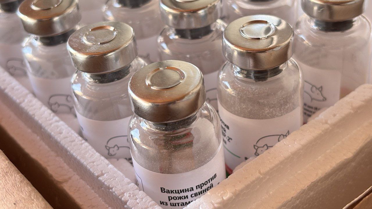 Минсельхоз Южной Осетии обеспечил районные ветслужбы вакцинами для профилактики заболеваний