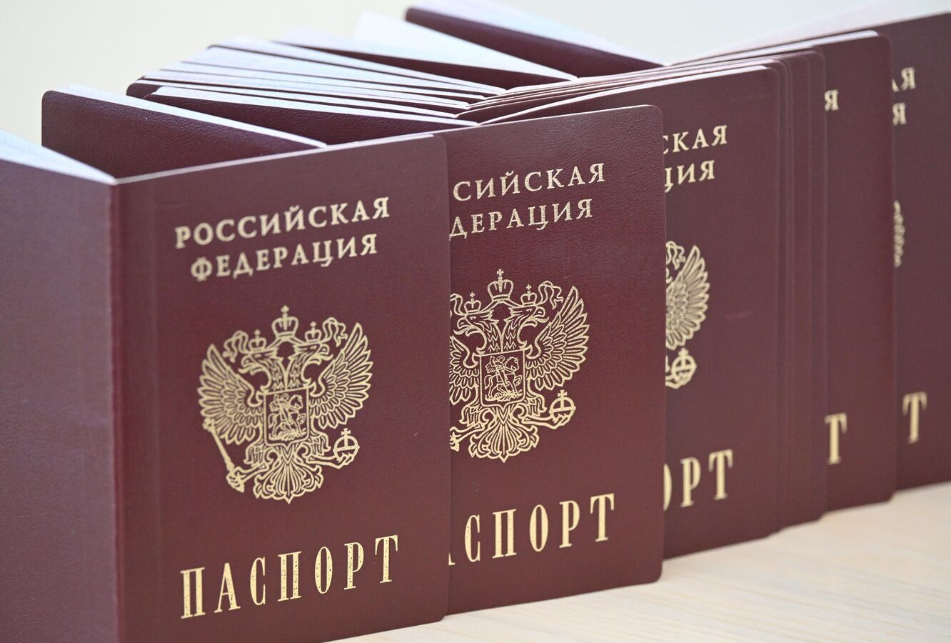 Новый порядок вступления в гражданство РФ для участников СВО: что и как